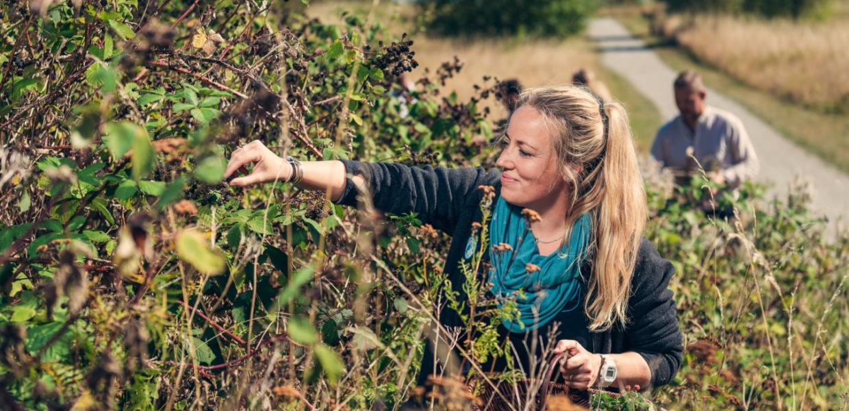 A team of people foraging in Fyn