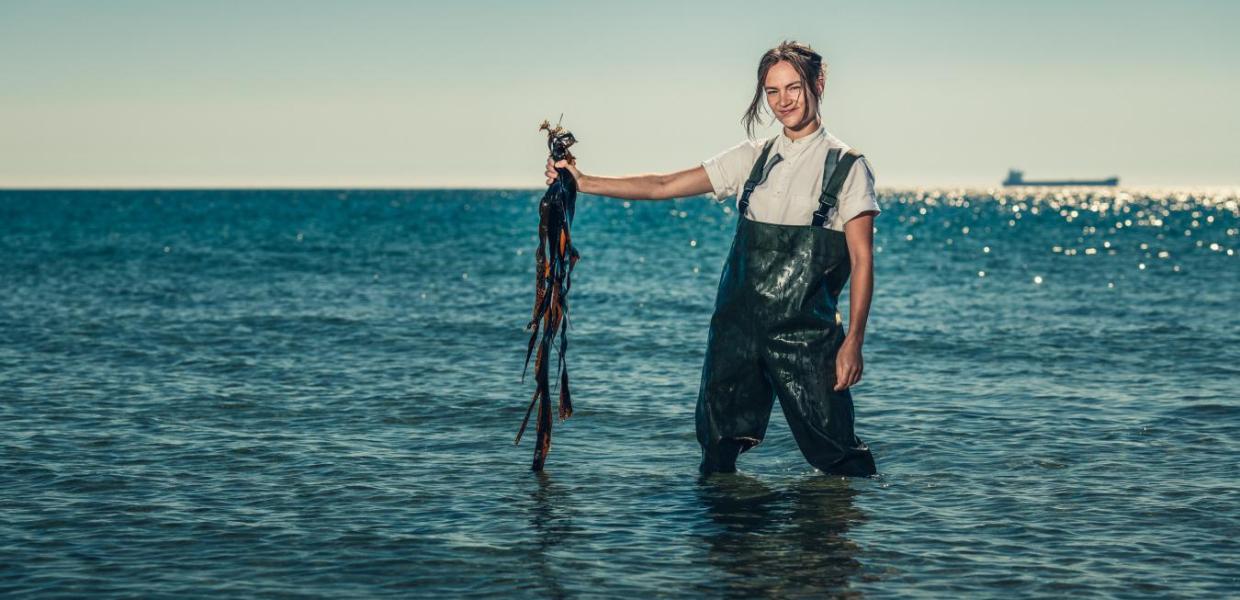 Chef Mathilde from restaurant Blink foraging seaweed by the beach in Skagen, North Jutland