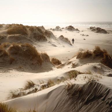 The never-ending beach on Rømø