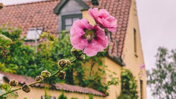 The charming town of Præstø is located south of Copenhagen