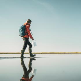 Hunting for oysters in the Wadden Sea National Park, Denmark