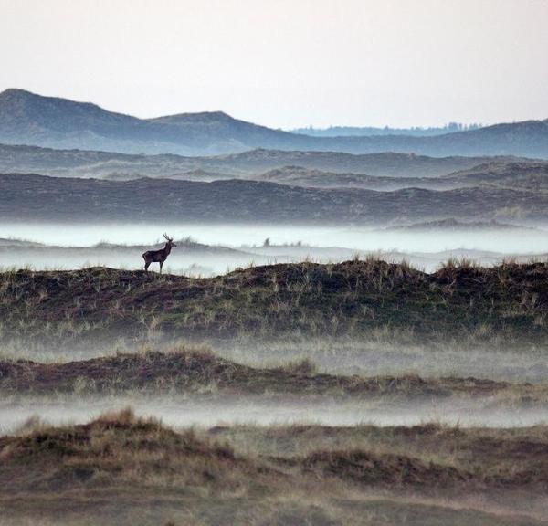 Thy National Park in North Jutland